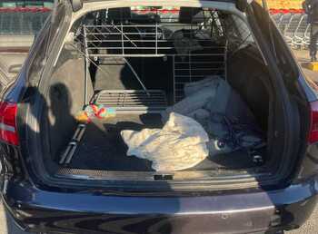 Investigados tras matar a dos perros abandonados en un coche