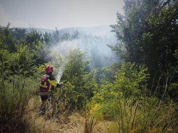 Atienden incendios forestales en Goizueta, Areso y Arraioz