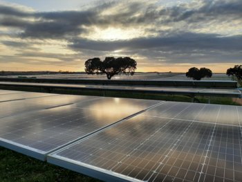 Acuerdo entre Iberdrola y FCC para reciclar placas solares