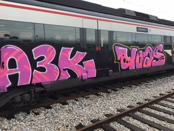 Los grafitis en trenes costaron 368.000€ en Navarra