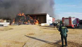 3.000 ovejas muertas tras arder una granja en Artajona