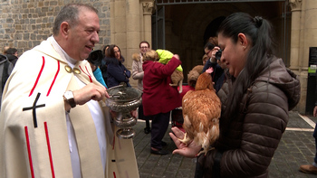 San Antón bendice un año más a las mascotas de Navarra